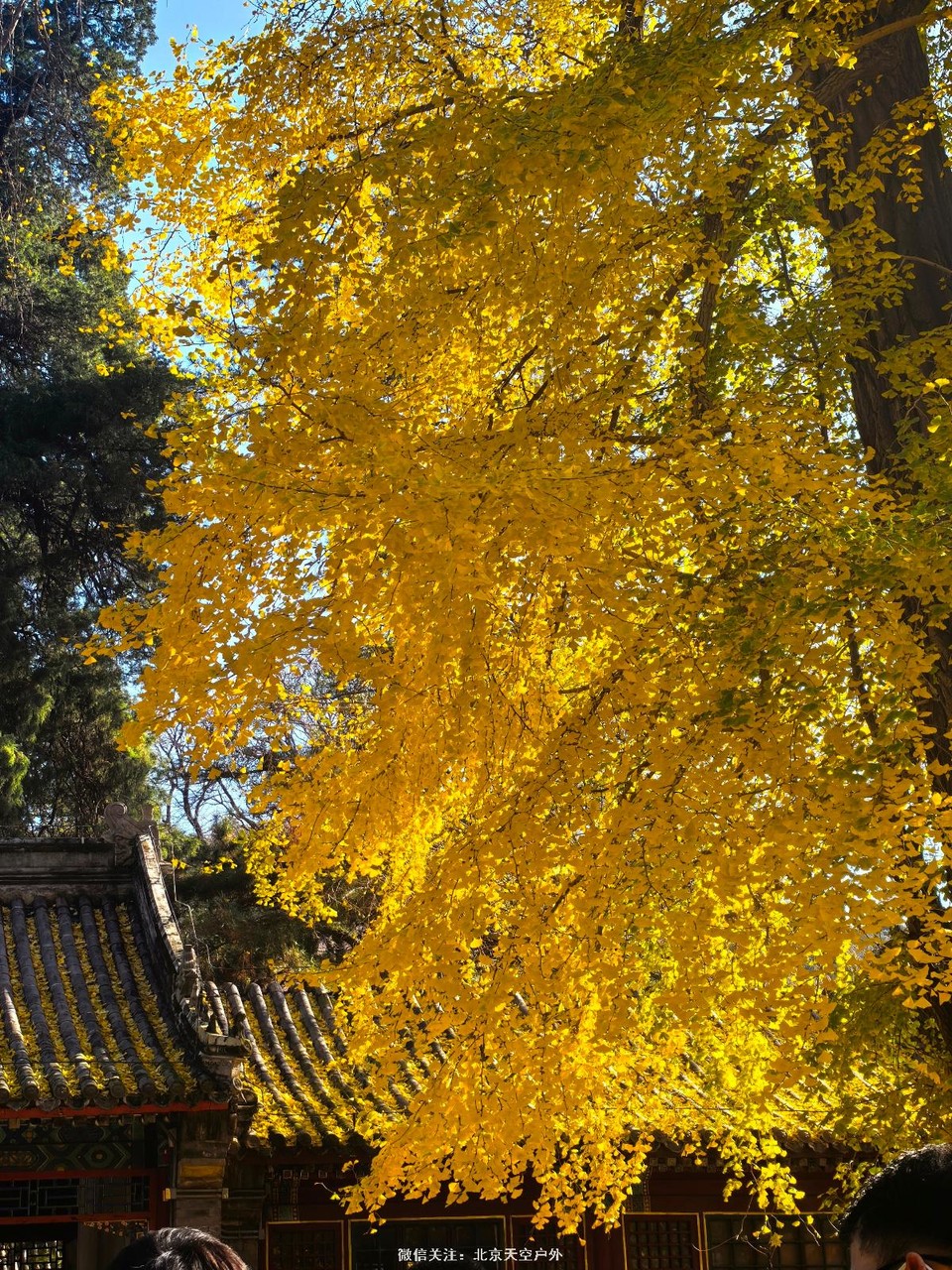 62E4A4C6-54E3-4AF1-8CF2-FAFA8A59A16F