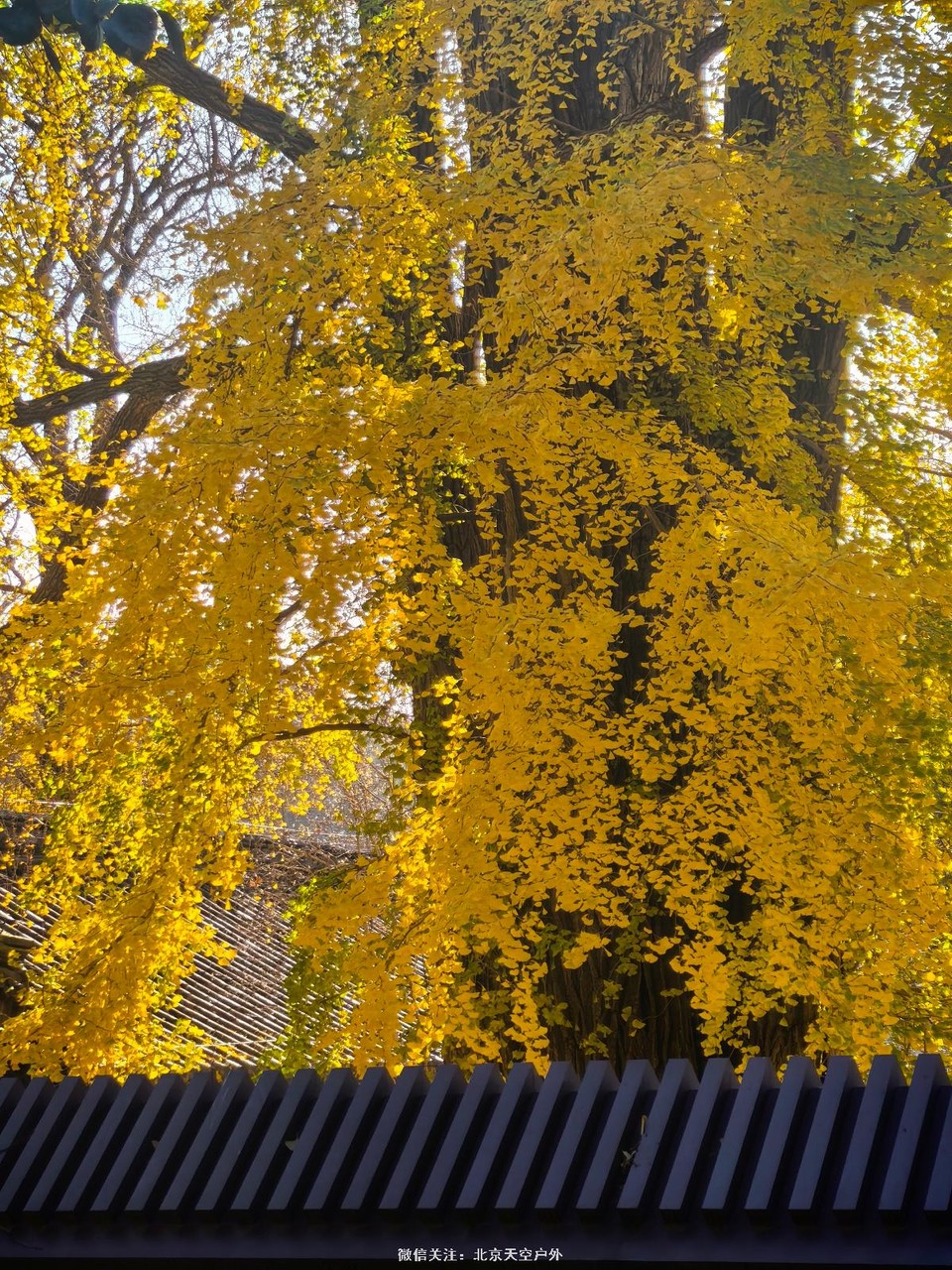 2D0E5E79-72D2-477F-8B8B-85CB8F16CDEB