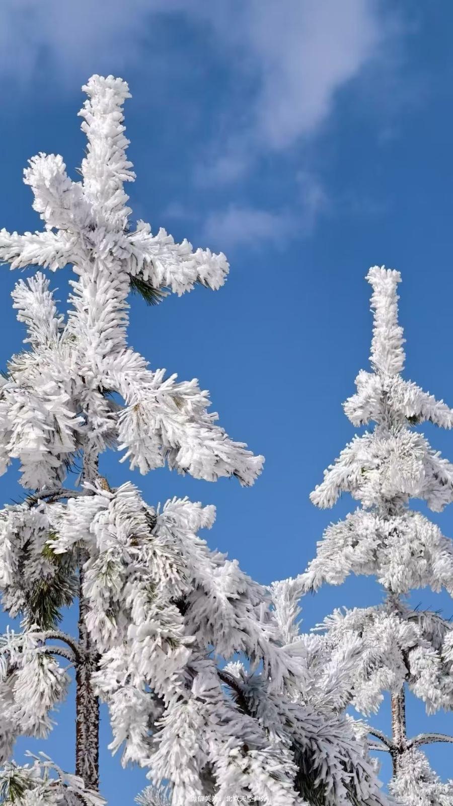 D2691F76-AA46-41DF-90B0-BED958C15415