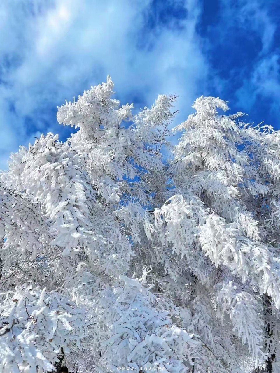 5DAD2A9B-4E94-4F75-A180-C01DFEEA41A2