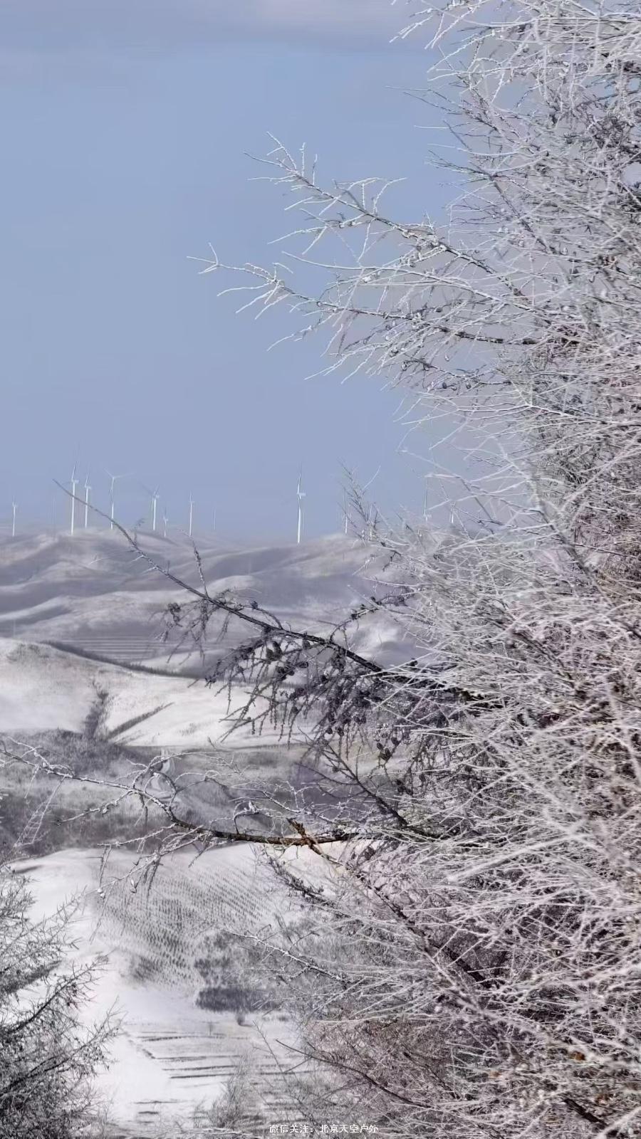 E9346E25-A0B2-4F2A-8B95-F05FF601ED3C