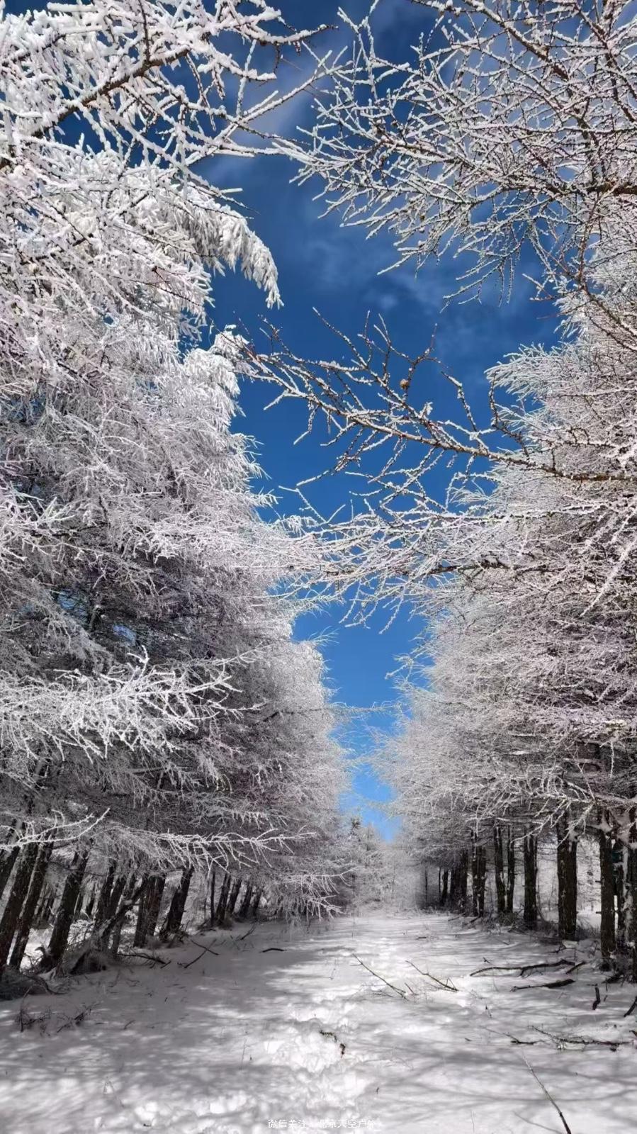 DC312637-69A6-425D-885D-9F54A085DE19