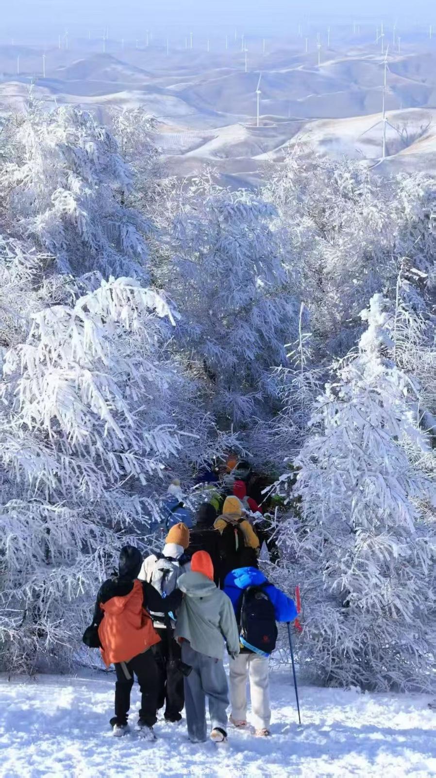 A7645F88-65AF-482C-9FE2-14C9AAB4B98A