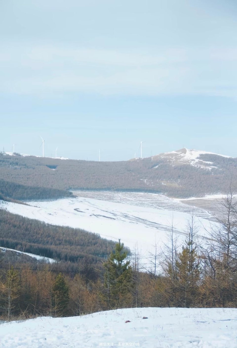 8BF23008-5A0C-4D85-ADD2-2348CBD27B5B