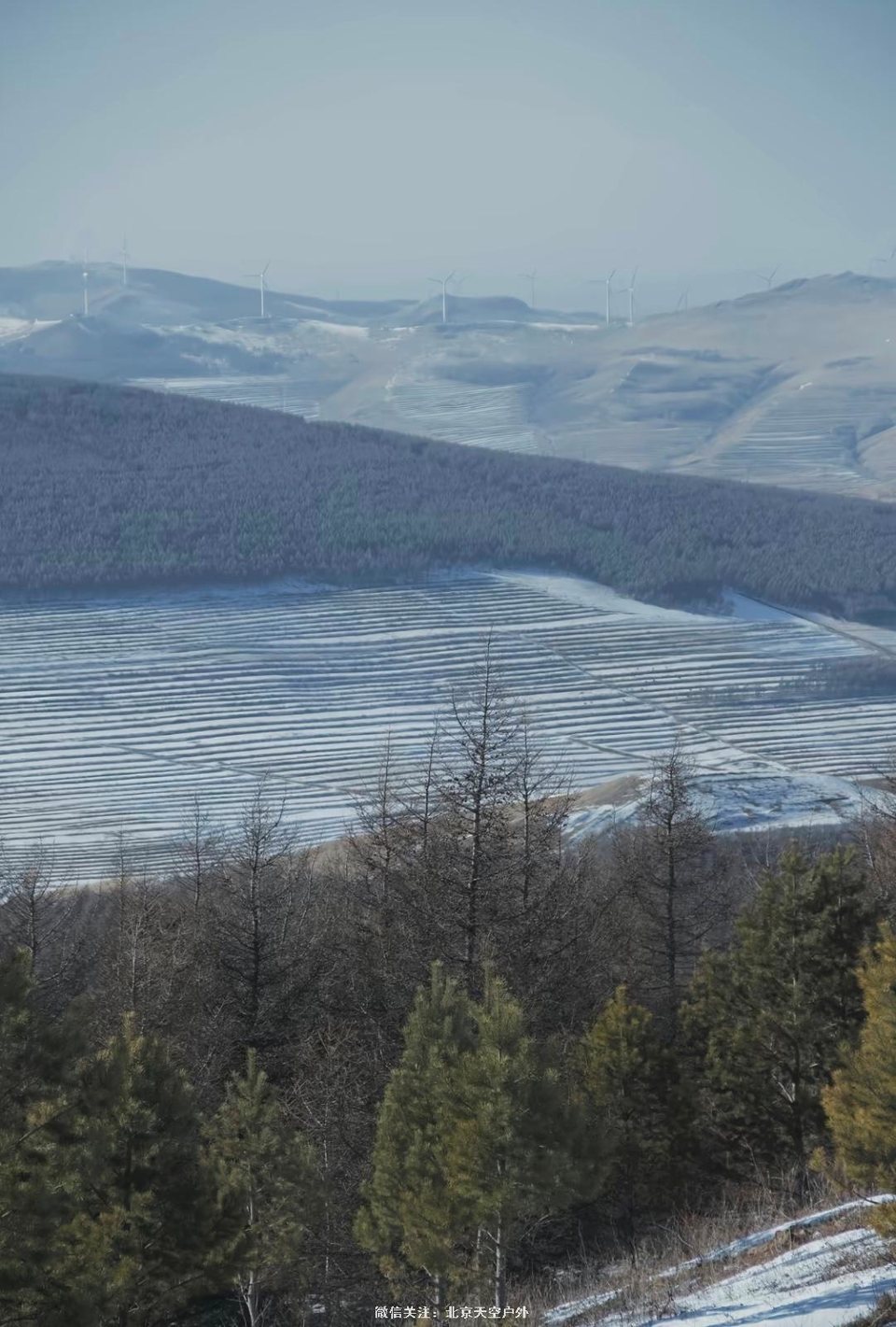 D1B6229C-982E-48A5-B431-D8F9236EF6EB