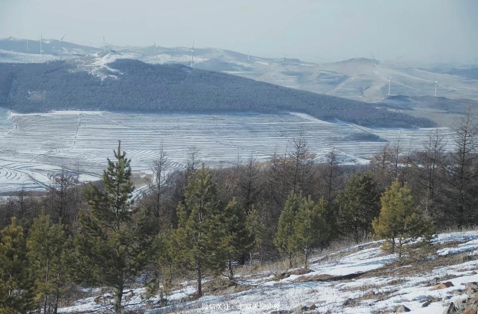 7AAE9E98-D73E-4E39-B7E4-225D2C3F6C26