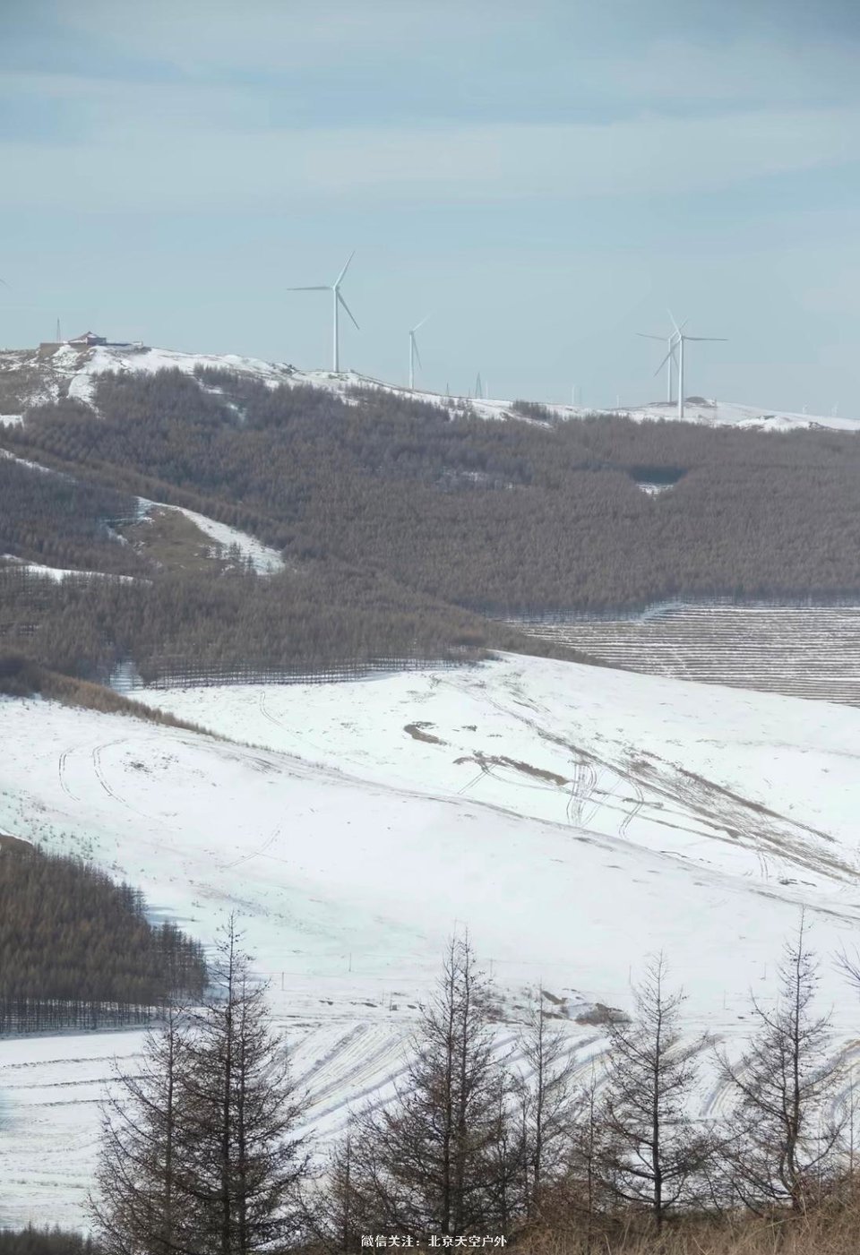 87A47537-3340-49AB-A240-0356A8793978