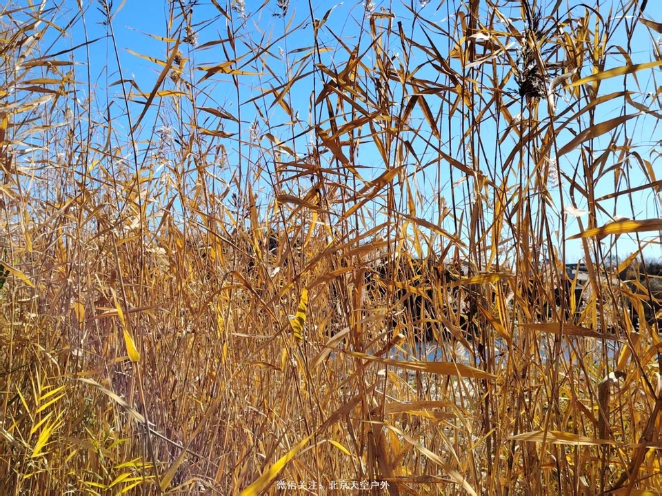 EA85BFA3-7ECA-486D-A8A5-22B1AE21AFEE