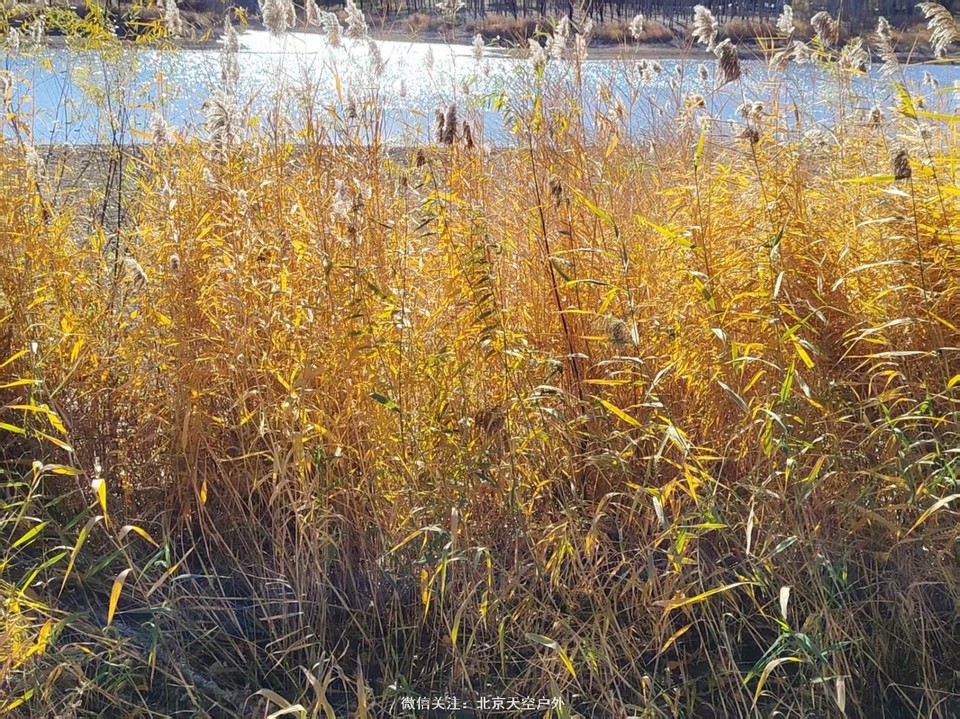 E4147B09-E80F-4AE4-932C-74A6831273A6