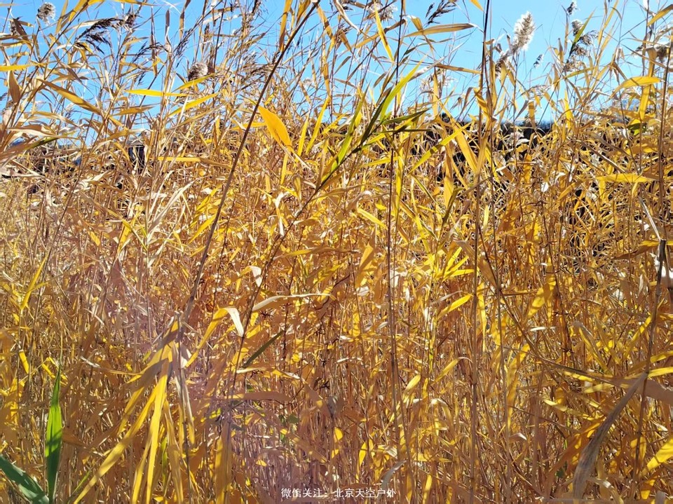 45C6C8D6-568C-41E3-B8E6-C362AA0140C9