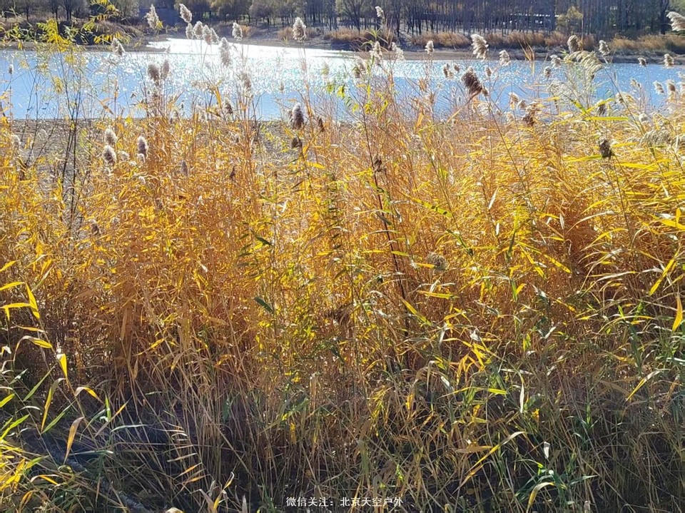 F57F338D-68EA-4747-A1BB-2E565D0B1704