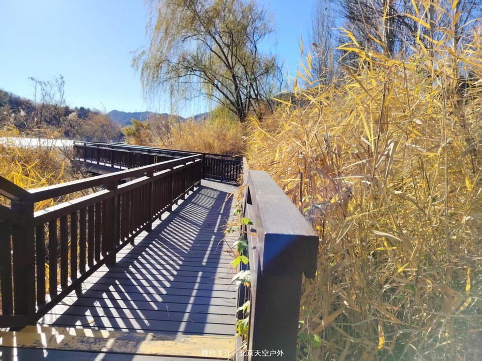 9930D01E-EB7D-4DB6-8C1C-7A614A8907B6