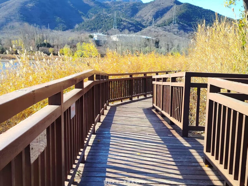 D6F2DF97-5CC2-4338-AFF6-1E29BDAB88CB