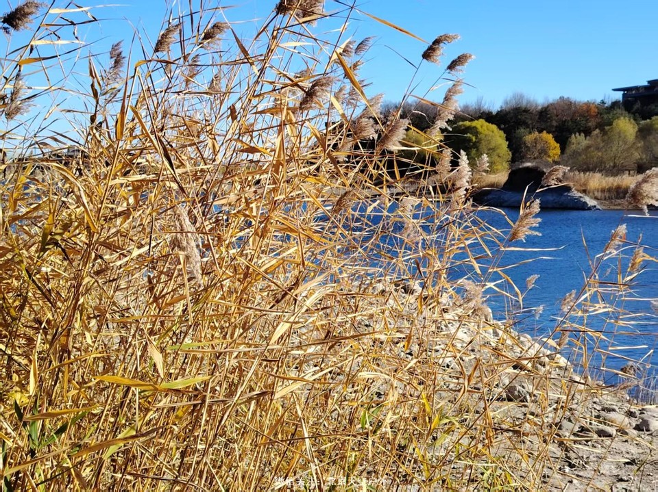 984E5DD6-D27F-49E0-B376-172FA4148864