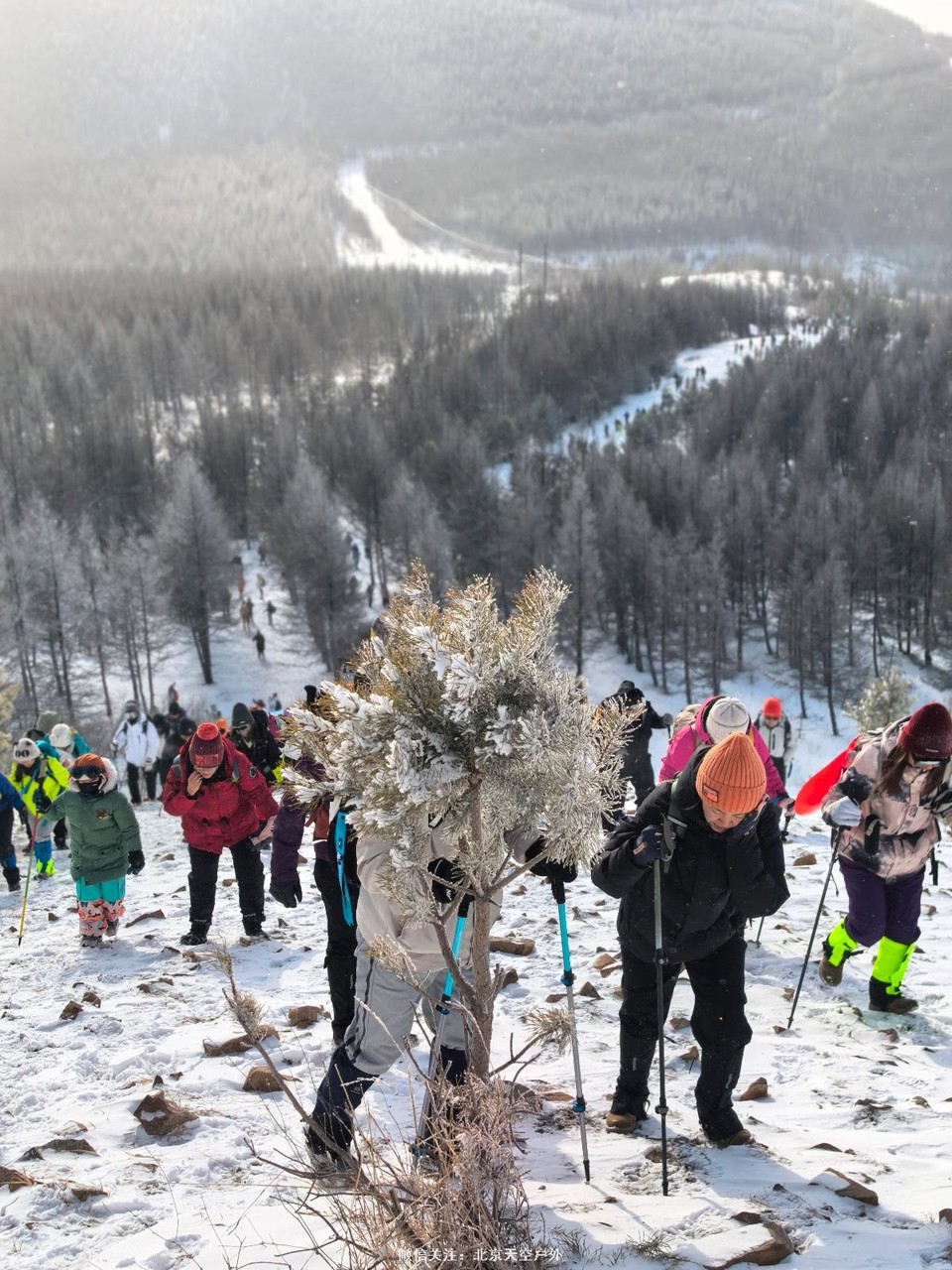 F0D6F845-2FD4-4A75-B4A2-4C9D49568160