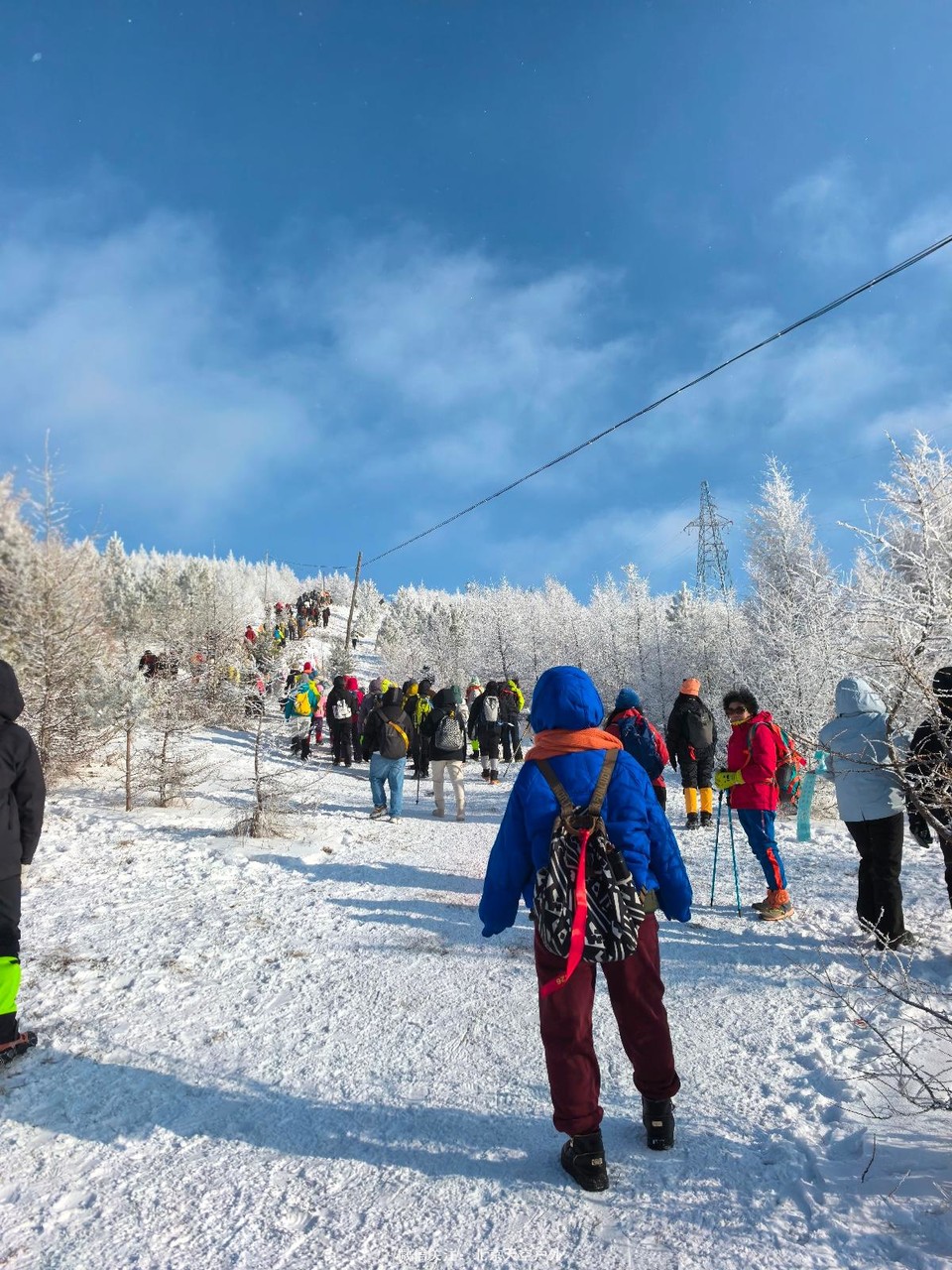 F7459B16-FF0F-49AF-B579-63084554B534