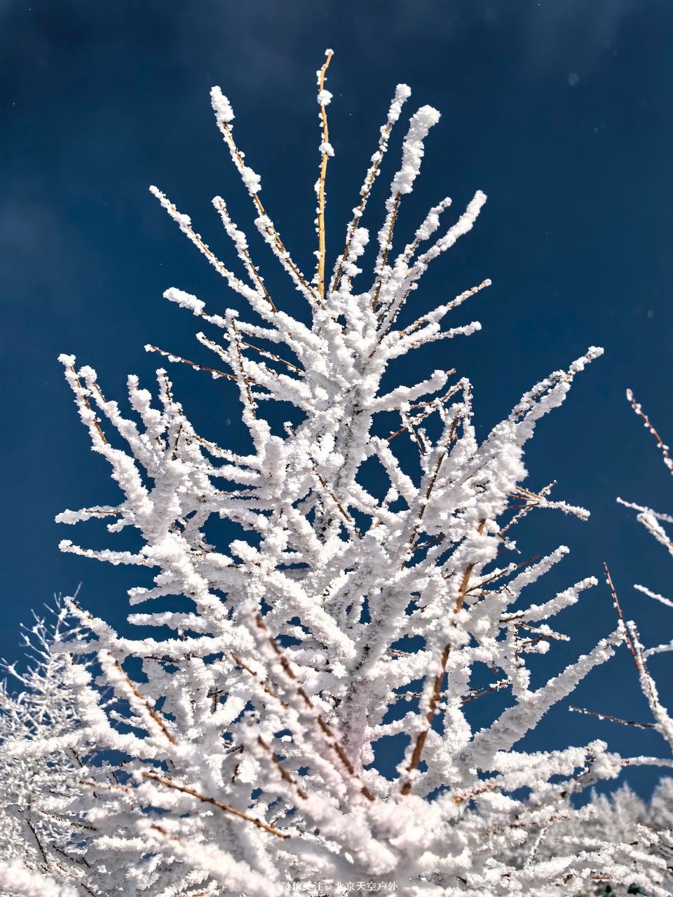 2E4D61EB-305D-424C-85D8-F4A6A82B4DD3