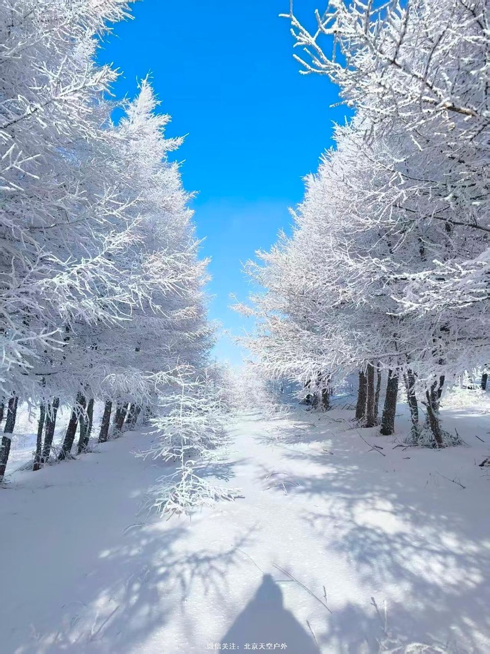 1C47775B-ABAA-408F-B849-9F1321E20991