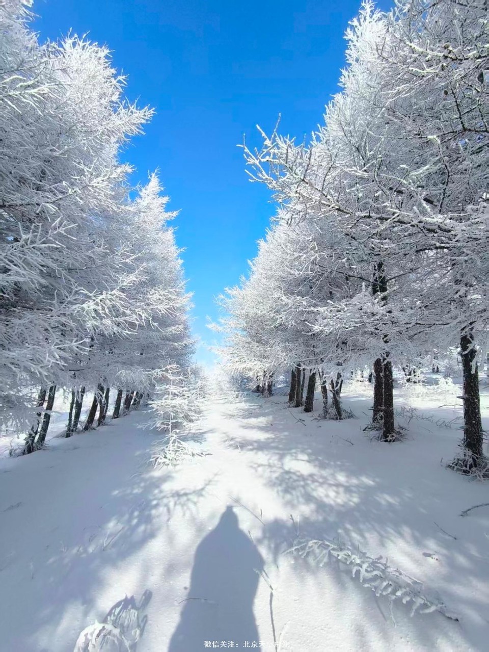 9AB45AC5-1427-4BED-8617-28EB0009B907