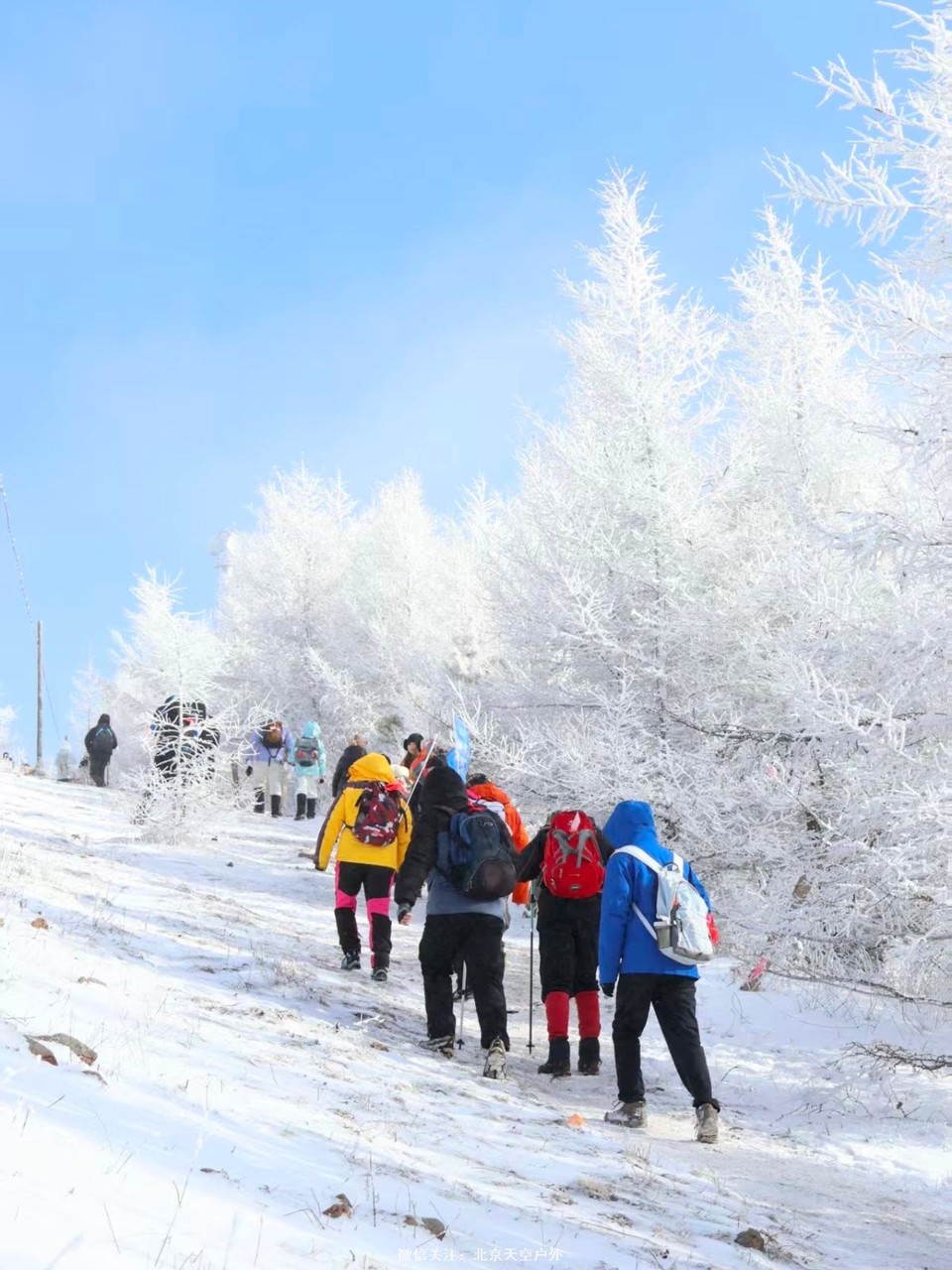 7FADEF37-3938-4F3D-B915-CD95759CA400