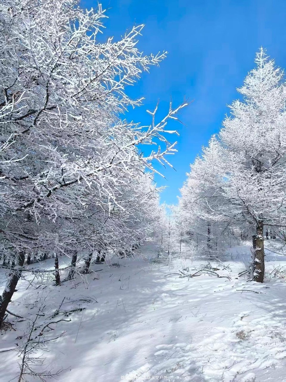 ED8FAFEE-EE86-441D-91CE-B4C6CF17B83E