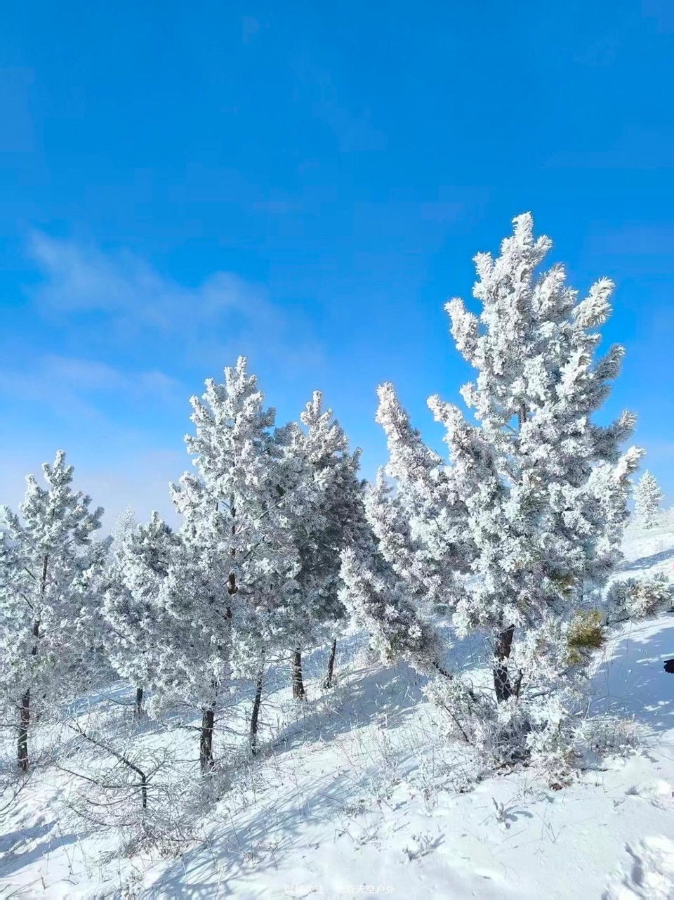 E93BA736-29DC-4347-AD10-66DA7668ED37