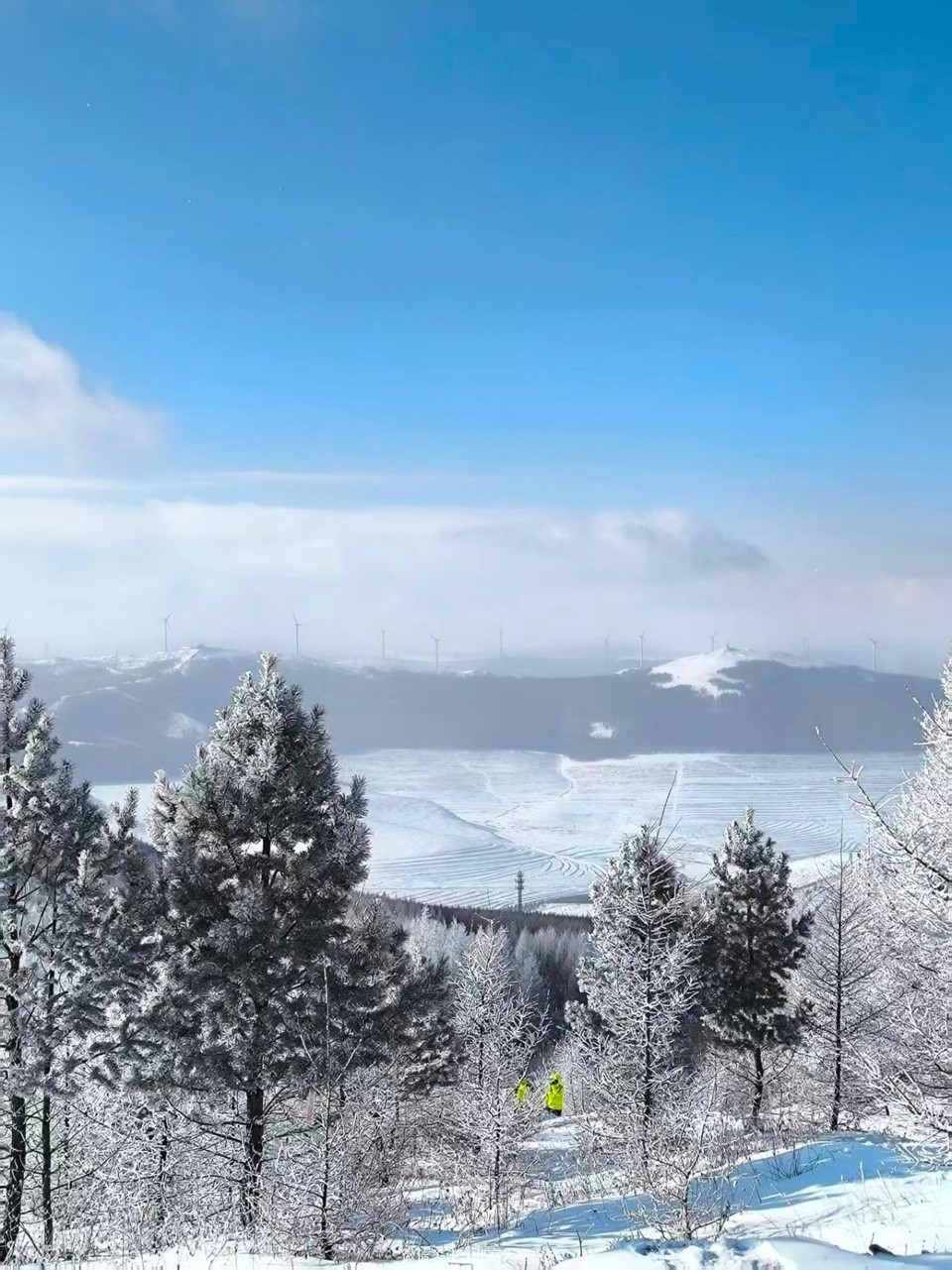 5685F25F-3BB6-4B78-97BA-171F26A26CEC