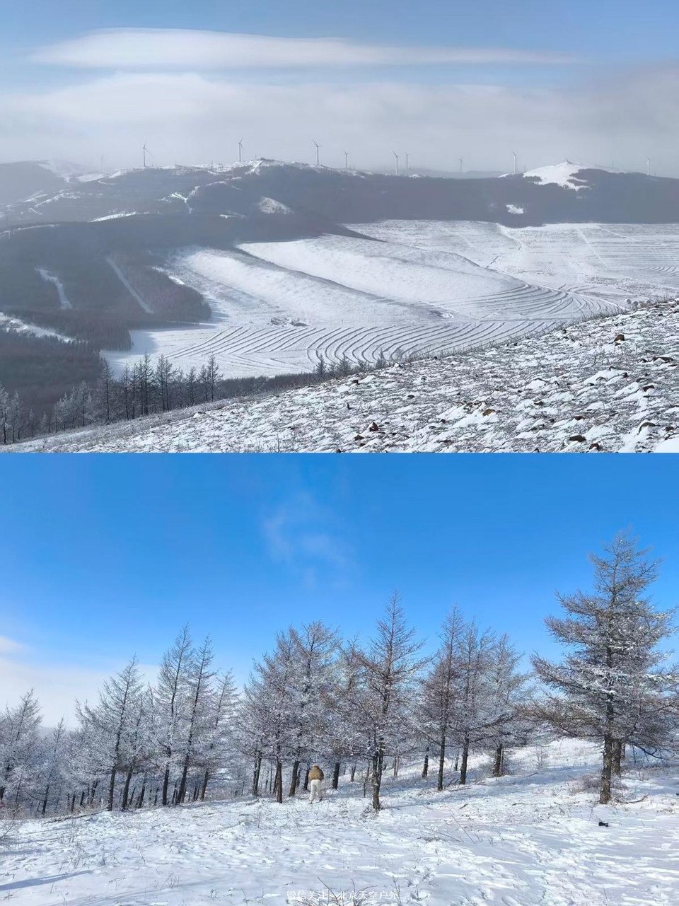 65C026CE-C448-4574-831F-325417DBA833