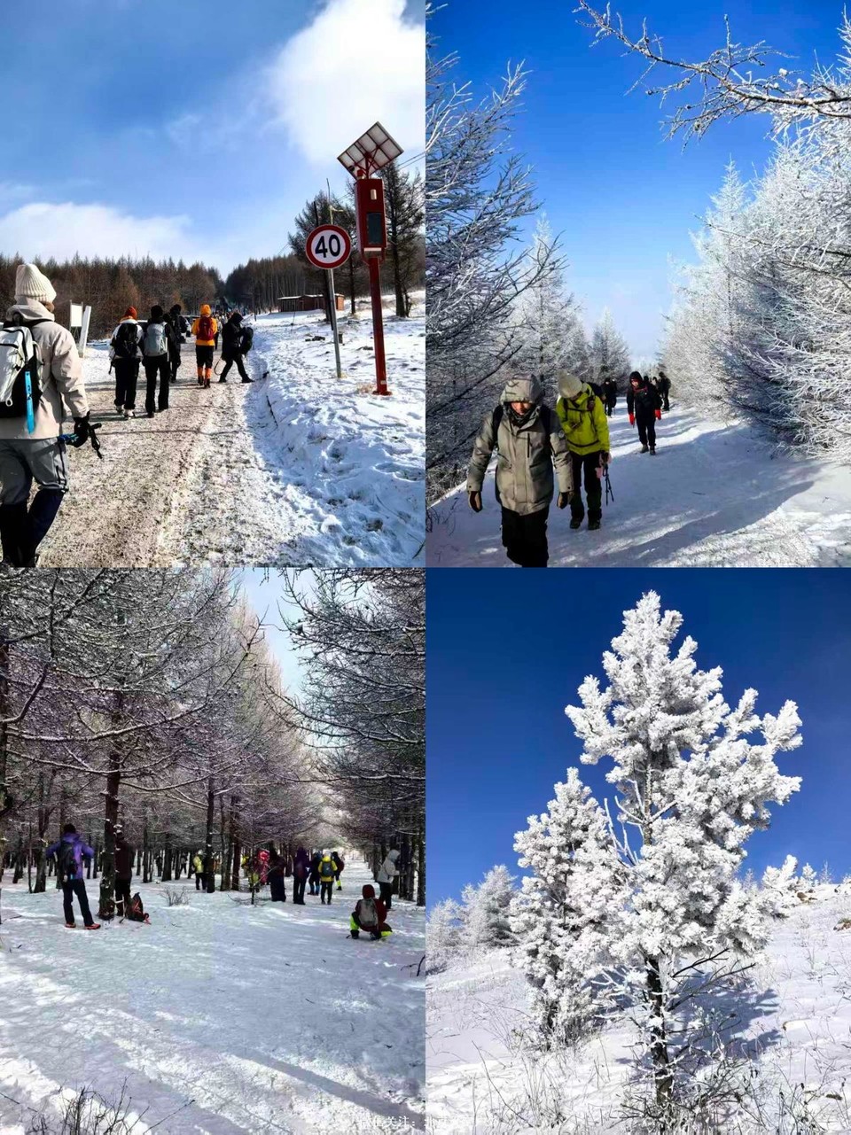 86F80591-E7AF-4037-8722-978CC1C6939A