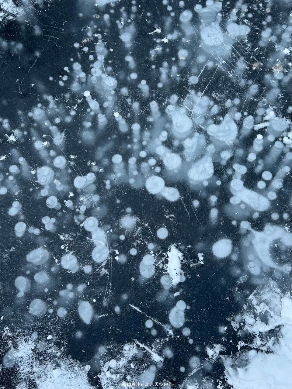 019B1C80-2C60-4301-86EE-2DDB806DB660