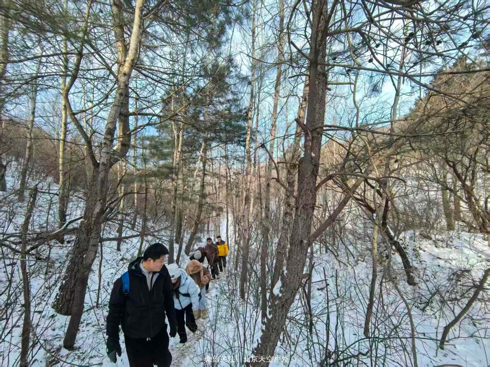 520893D8-E6A0-4DE4-91D7-FADDEF8DACE4