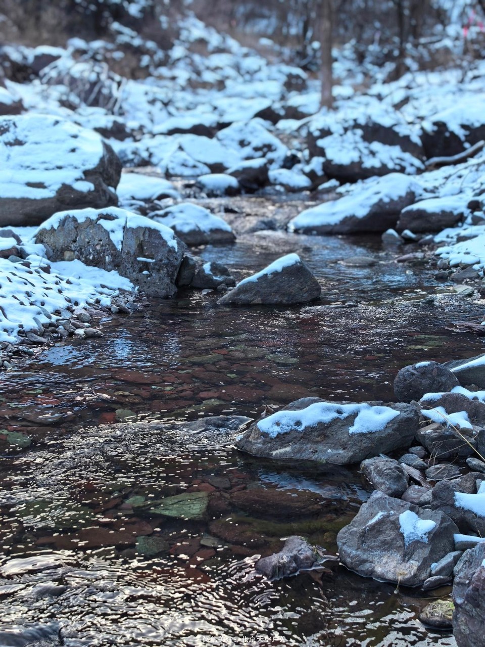 4FE6A4B1-8469-4443-B1AA-B5F40CC94BB7