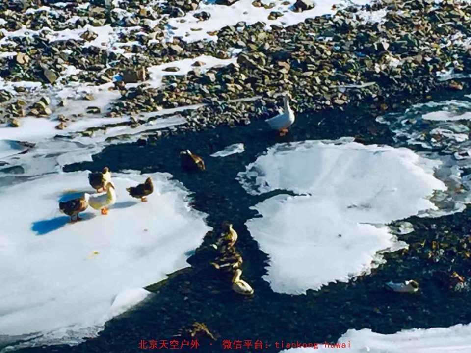 0g4Fq51m62KH5Psch6-km0UNcK9OZIfvLSQXRBSWu4ZppU5AzKYssAyg8UaygKv5