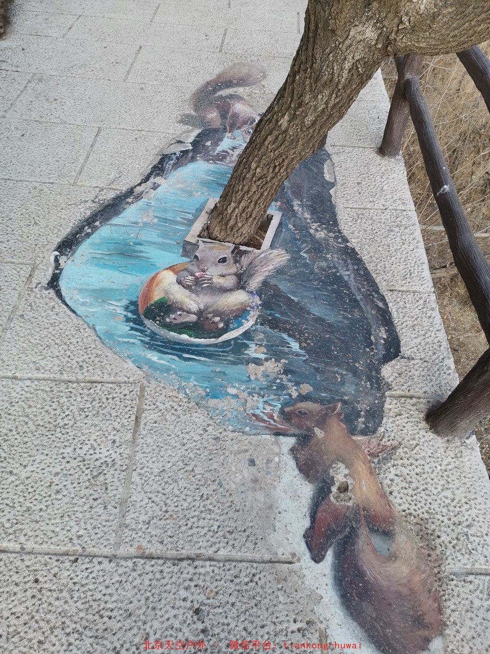 X4y9e0lv9PhBQMkhH2f9bglSPfyj4REwSap6hDqXCr0K4w8147S9B0C9mCvNMDAS