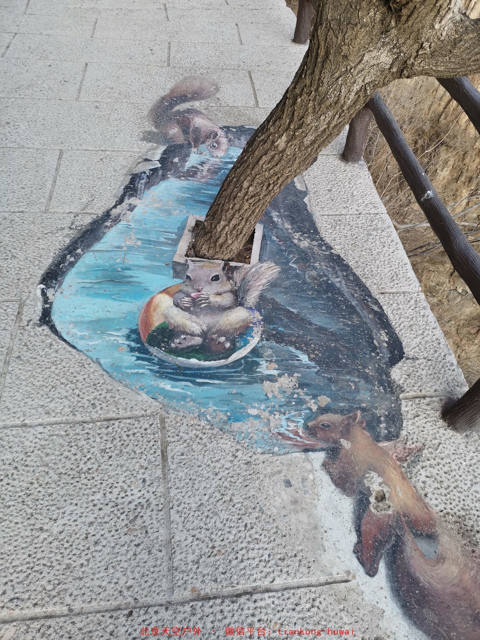 grSbMElkLPt6k1w68iRGH10RiW9gUdggTvUvqoc0U8vIS_ISm394Yd_GodoA9Z-x