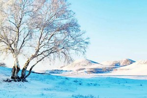 元旦3天【乌兰布统】塞北雪乡の越野车穿越雪原-马踏飞雪-冰雪童话-摄影深度游