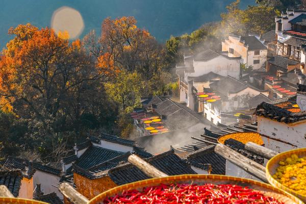周末2天｜婺源赏秋｜休闲游の篁岭晒秋-石城晨雾-打卡婺女洲-菊径村-虹关村-察关村