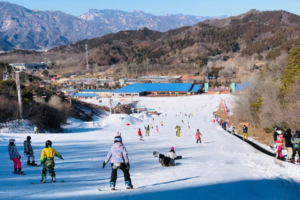 1天｜云佛山滑雪｜性价比最高的大型雪场-一次体验念念不忘