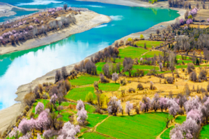 3.28-4.6日【川藏花开】林芝桃花-波密桃花-川西梨花｜经典川藏318线花季行摄｜10天9晚