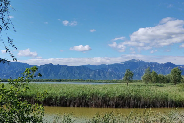 1天团建｜野鸭湖｜蓝天碧湖-鸟鸣声声の芦苇翠绿欲滴｜休闲周末行
