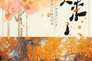 国庆5天 [额济纳] 为千年胡扬林而来の额济纳胡杨林-黑城怪树林-居延海-中蒙边境