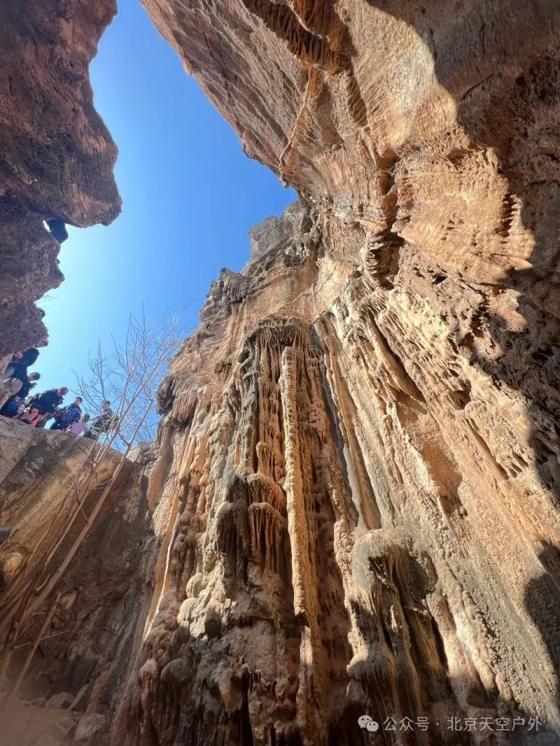 1040g0083104k11c3603g43870el0q4o643hvgig!nd_dft_wlteh_webp_3 (1).jpg