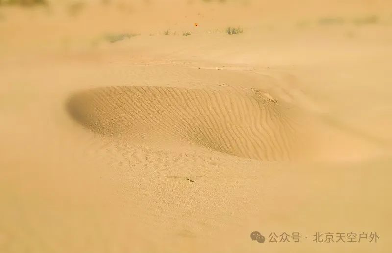 微信图片_20210922012915.jpg
