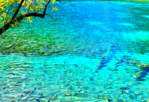 [五一5天] 九寨甘南 || 寻找美丽的香巴拉の九寨沟-黄龙-九色甘南