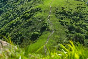 1天｜海坨山｜北京第二高峰の2200米的云端草甸-15公里徒步