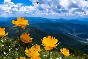 1天｜海坨山｜北京第二高峰の2200米的云端草甸-15公里徒步