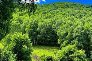 1天｜海坨山｜北京第二高峰の2200米的云端草甸-15公里徒步