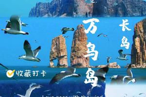中秋/国庆3天【长岛】海上仙山の蓬莱-长岛-万鸟岛-庙岛-峰山林海-九丈崖-月亮湾｜与海鸥为伴