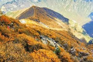 国庆7天 [秦岭秘境] 陕甘七日全景之旅の穿越秦岭漫游陕甘-山水石窟古城尽数打卡