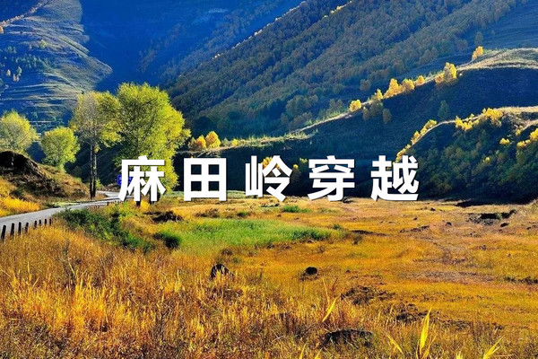 【橘子部落】1日｜麻田岭｜云中草原小天山の夏天20度的徒步体验-麻田岭10公里小环穿<初级强度>